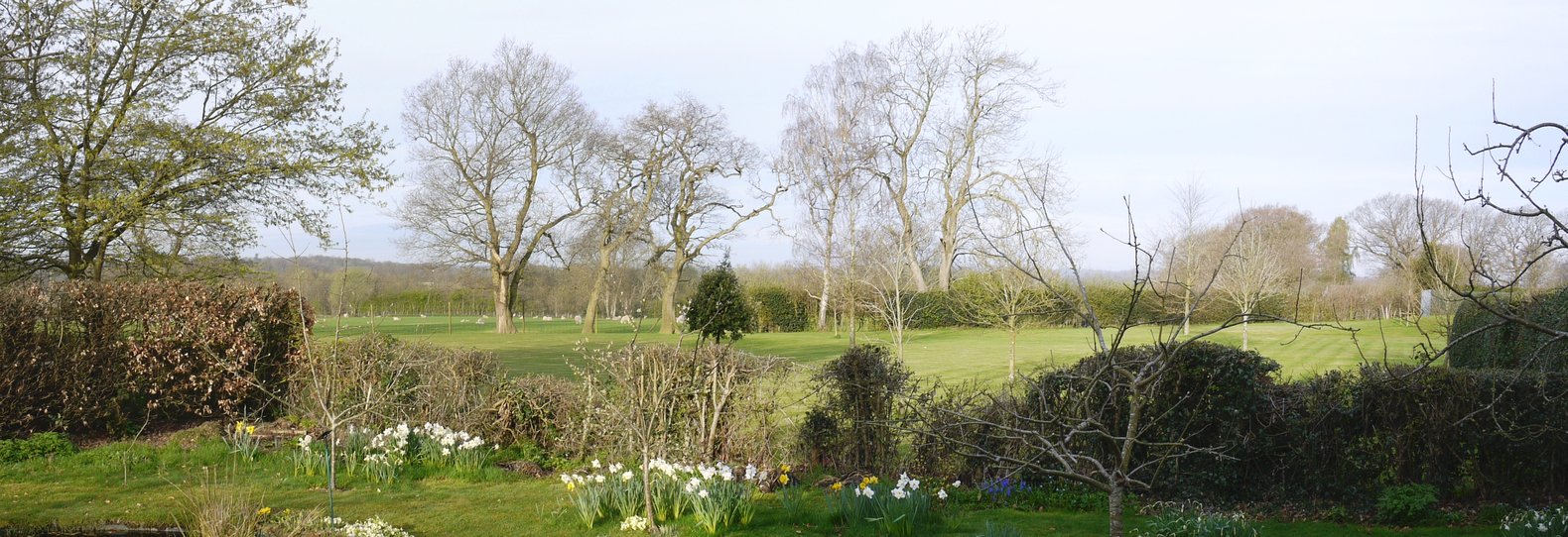 Speldhurst in spring