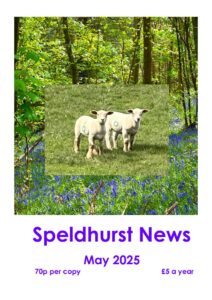 May 2025 newsletter