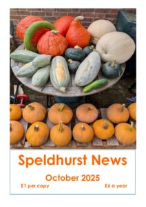 October 2025 newsletter